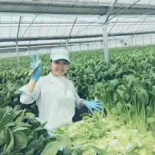 北京勞務(wù)派遣公司 供應(yīng)產(chǎn)品