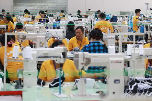 小康圓夢(mèng)丨對(duì)口幫扶工廠開(kāi)在家門口 村民就業(yè)掙錢不用出遠(yuǎn)門