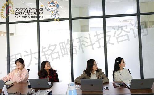 2021年蘇州高新技術(shù)企業(yè)申報(bào) 財(cái)務(wù)審計(jì)與研發(fā)管理優(yōu)化及勞務(wù)派遣服務(wù)指南